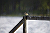 Hier piept's!
(Dieser Vogel macht hier den ganzen Tag lautstark auf seine Anwesenheit am See aufmerksam. Was für ein Art es ist, entzieht sich noch meiner Kenntnis.
Aufnahme mit Minolta AF 500/8 Spiegeltele) /
Pfeiffer-1024x683-4090.JPG