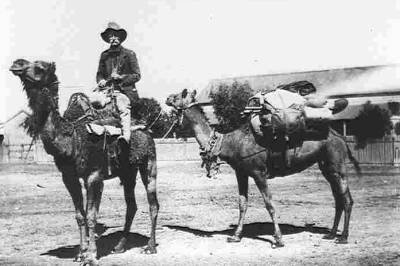 28. Drover in Marree.jpg