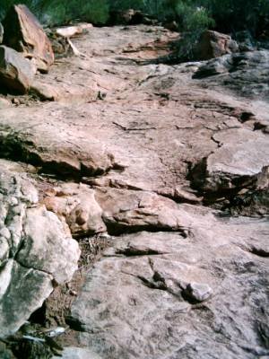 Wangarra Lookout Aufstieg.JPG