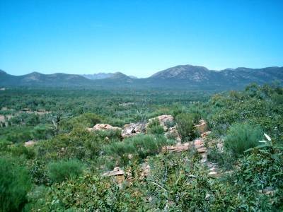 Wangarra Lookout Plattform 1.JPG