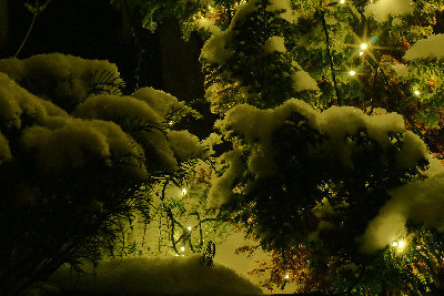 weihnachten.JPG (1.09 MiB) Viewed 20874 times Weihnachten 2009