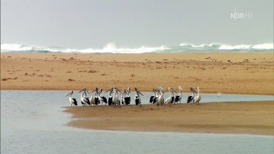 NDR - Great Ocean Road.jpg