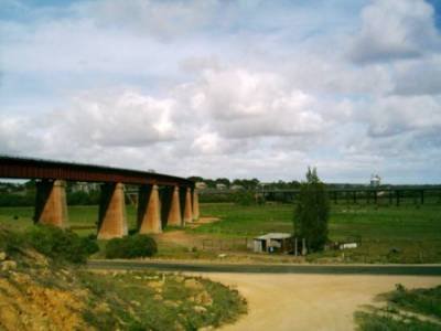 Murray Bridge Eisenbahnbrücke.jpg