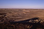 Lake Eyre North Track