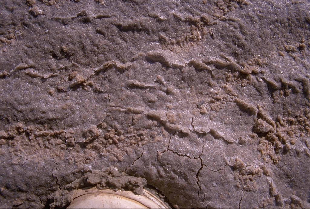 Lake Eyre salt-crust