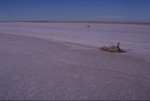 Lake Eyre salt-crust