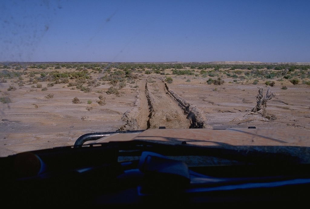 Track back from Lake Eyre to William Creek