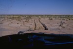 Track back from Lake Eyre to William Creek