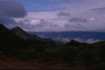 In the Flinders Ranges NP