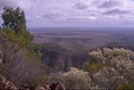In the Flinders Ranges NP