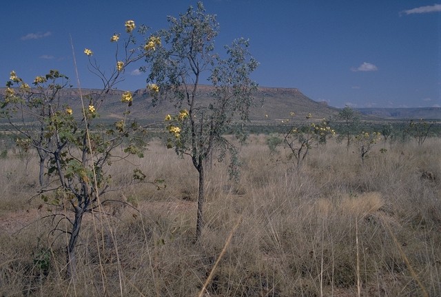 At the Gibb River Road westward