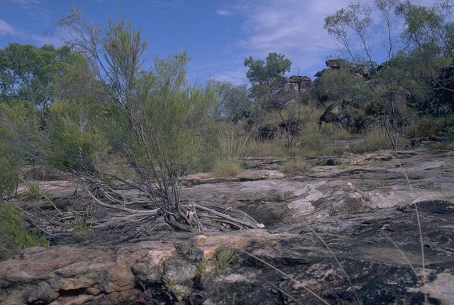 At the Mitchell Plateau