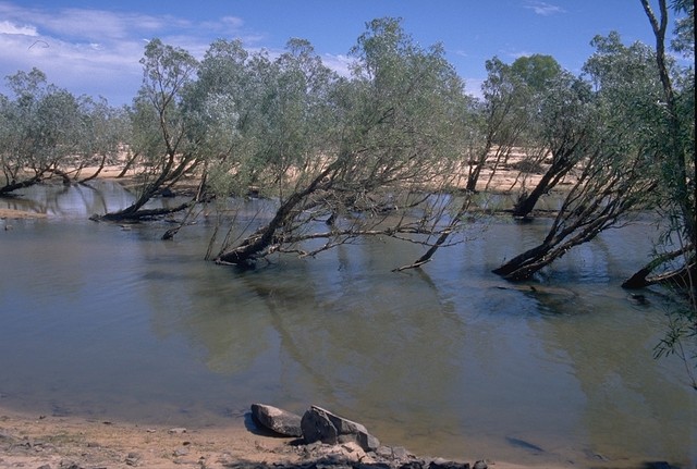 At the Gibb River Road