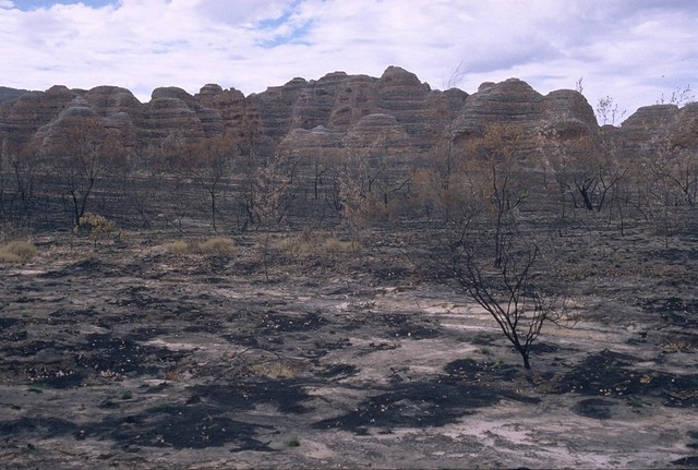 In the Purnululu NP