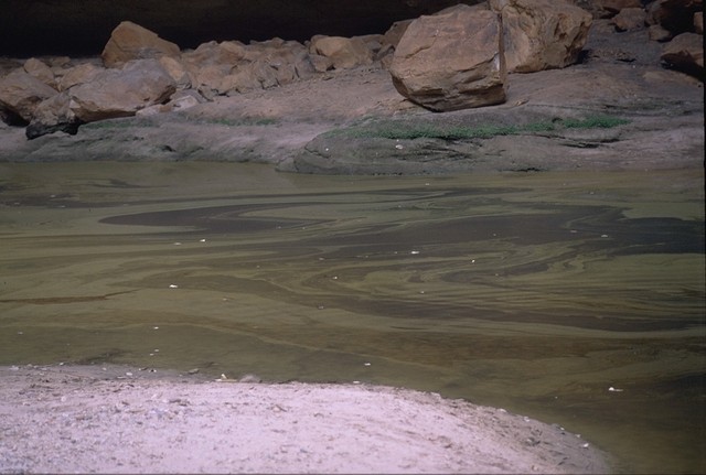 Billabong in the Cathedral Gorge