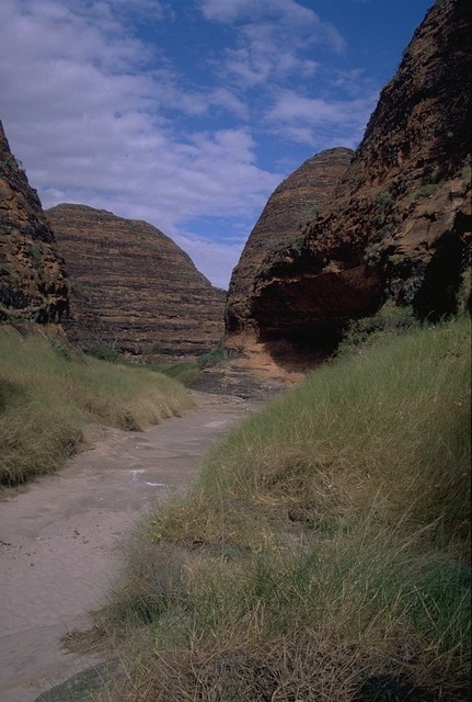 In the Purnululu NP