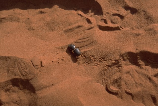 In the Purnululu NP