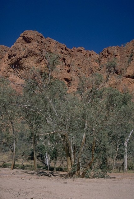 Walk to the Trephina Gorge