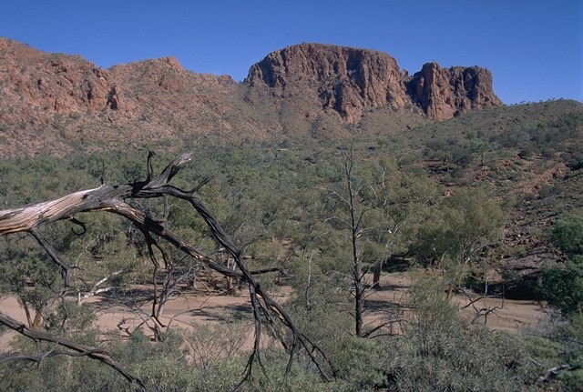 Walk to the Trephina Gorge