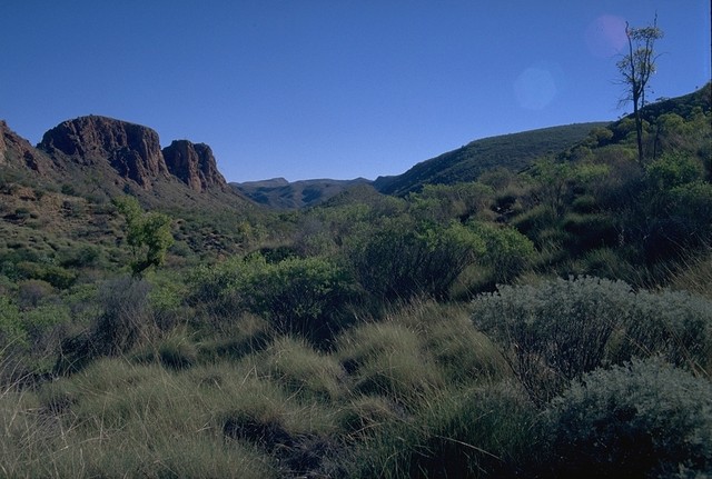 Walk to the Trephina Gorge