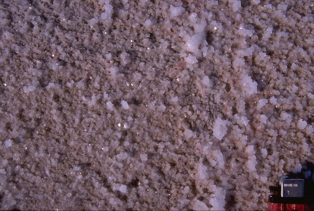 Lake Eyre salt-crust