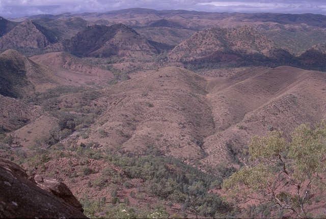 In the Flinders Ranges NP