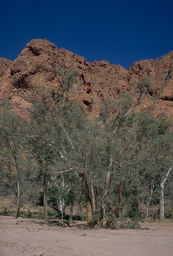 Walk to the Trephina Gorge