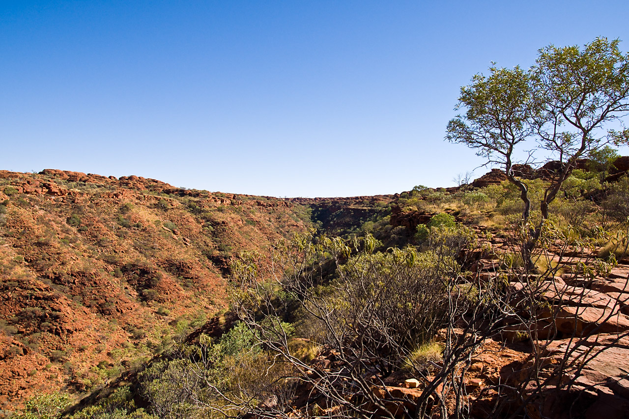 At King's Canyon