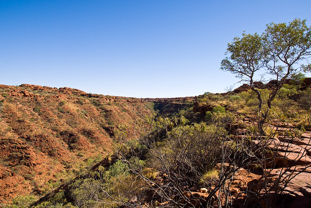 At King's Canyon