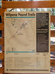 Wilpena Pound Trails