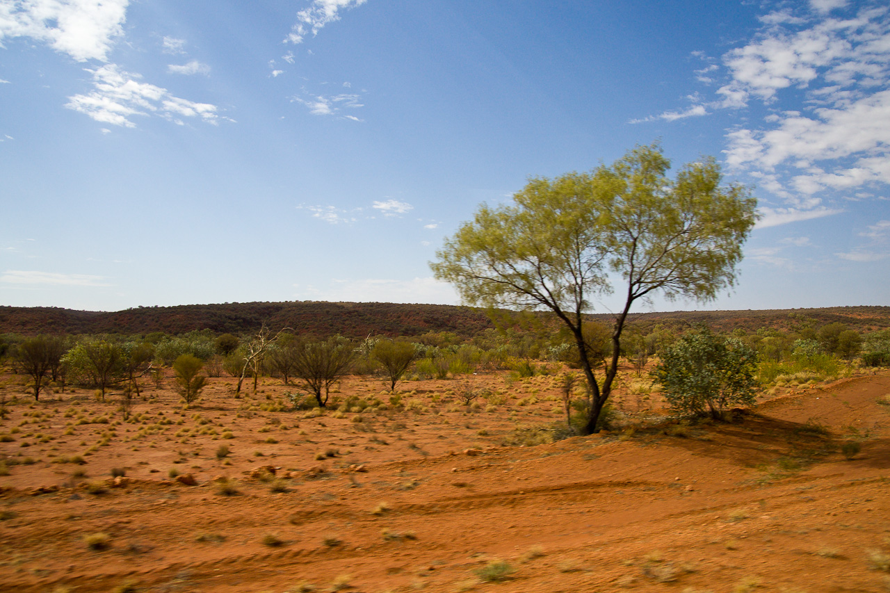 Erstes Outback-Feeling