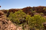 Treppen im Kings Canyon