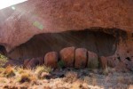 Detailaufnahme des Uluru