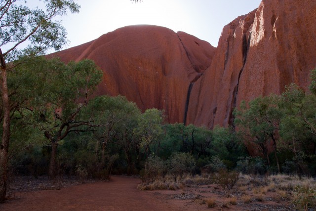 Detailaufnahme des Uluru