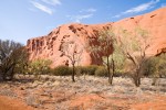 Detailaufnahme des Uluru