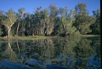 Yellow Water after Sunrise