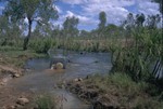 Creek crossing in den Kimberley