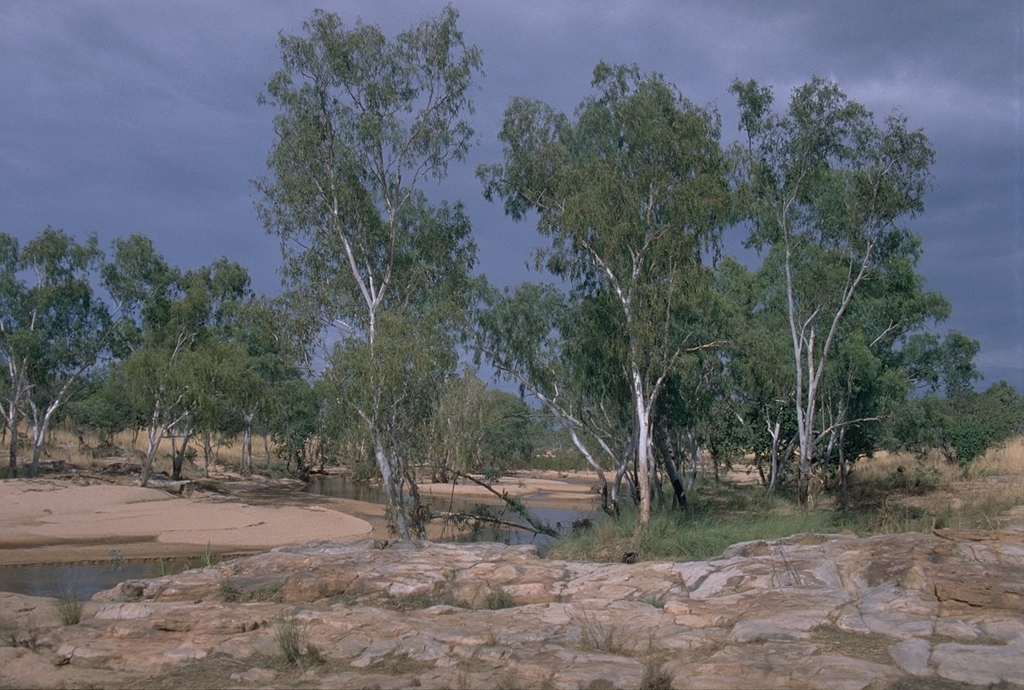 Camp at Gibb River Crossing