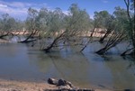 At the Gibb River Road