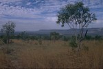 At the Gibb River Road