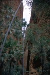 Entrance into the Echidna Chasm