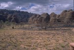 In the Purnululu NP