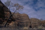 In the Purnululu NP