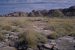 In the Purnululu NP