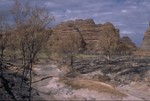 In the Purnululu NP