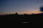 Bushcamp at the Tanami Track