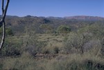 Walk to the Trephina Gorge