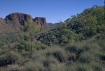 Walk to the Trephina Gorge