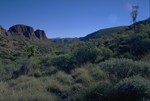 Walk to the Trephina Gorge