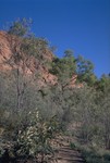 Walk to the Trephina Gorge